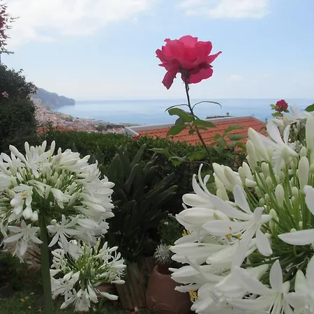 Apartments Vista Oceano Funchal  Room photo